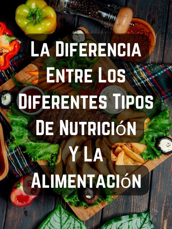 La Diferencia Entre Los Diferentes Tipos De Nutrición Y La Alimentación