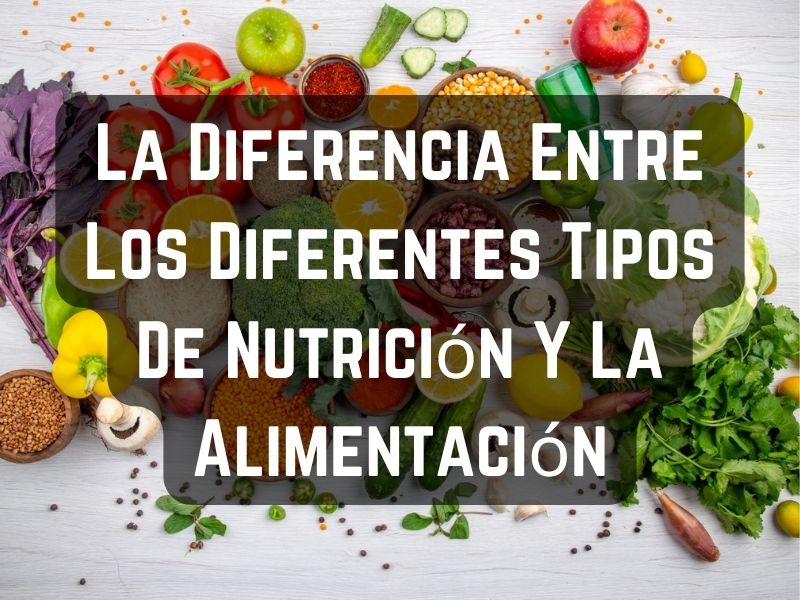 La Diferencia Entre Los Diferentes Tipos De Nutrición Y La Alimentación