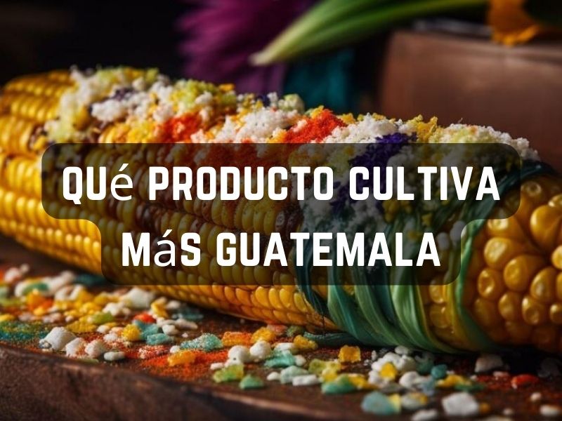 qué producto cultiva más guatemala