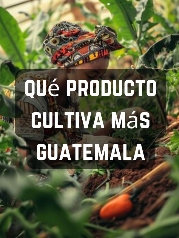 qué producto cultiva más guatemala