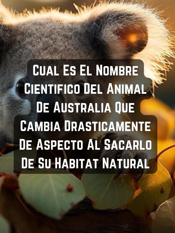 Cual Es El Nombre Cientifico Del Animal De Australia Que Cambia Drasticamente De Aspecto Al Sacarlo De Su Habitat Natural