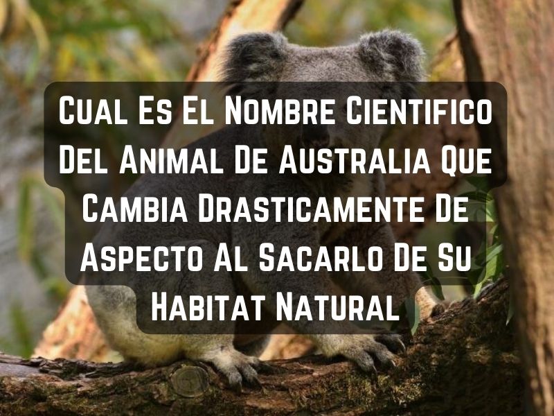 Cual Es El Nombre Cientifico Del Animal De Australia Que Cambia Drasticamente De Aspecto Al Sacarlo De Su Habitat Natural