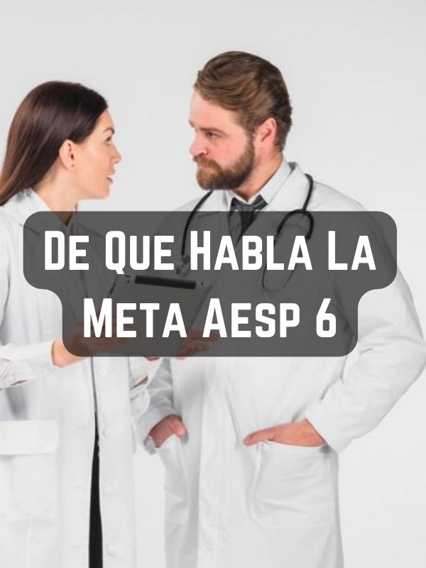 De Que Habla La Meta Aesp 6 