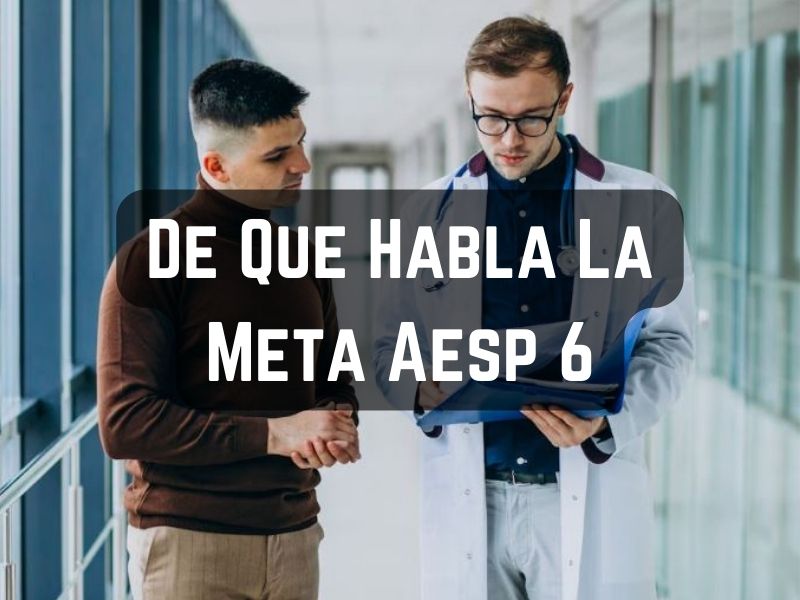 De Que Habla La Meta Aesp 6