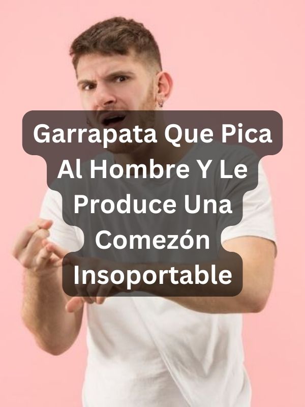 Garrapata Que Pica Al Hombre Y Le Produce Una Comezón Insoportable