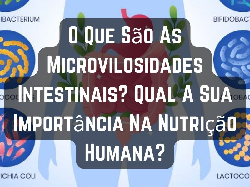 O Que São As Microvilosidades Intestinais Qual A Sua Importância Na Nutrição Humana 