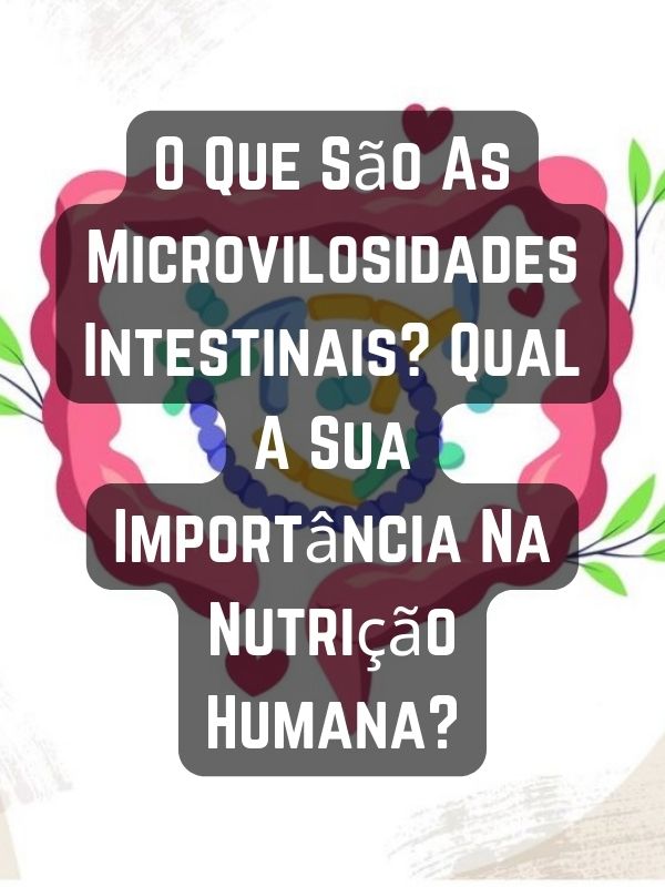 O Que São As Microvilosidades Intestinais Qual A Sua Importância Na Nutrição Humana