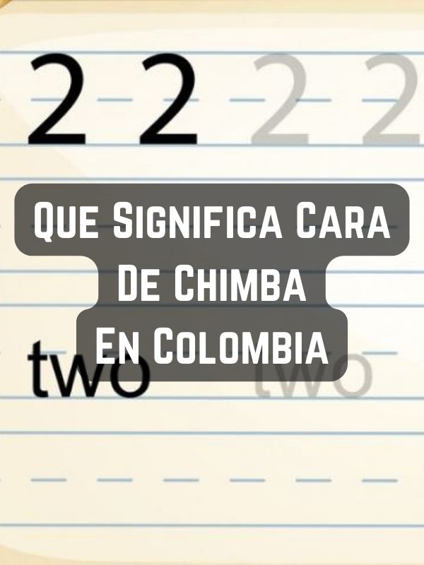 Que Significa Cara De Chimba En Colombia